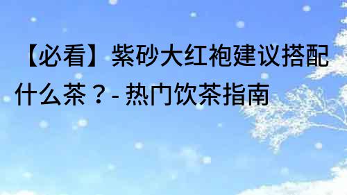 【必看】紫砂大红袍建议搭配什么茶？- 热门饮茶指南