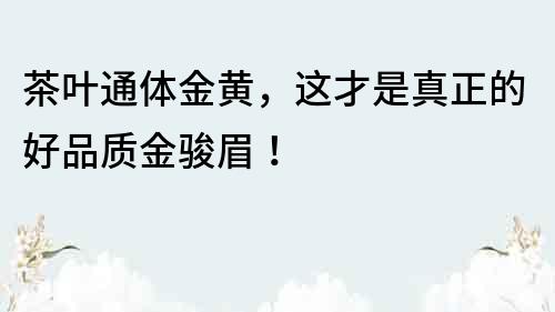 茶叶通体金黄，这才是真正的好品质金骏眉！