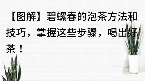 【图解】碧螺春的泡茶方法和技巧，掌握这些步骤，喝出好茶！