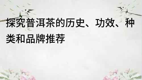 探究普洱茶的历史、功效、种类和品牌推荐