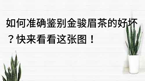 如何准确鉴别金骏眉茶的好坏？快来看看这张图！