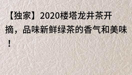 【独家】2020楼塔龙井茶开摘，品味新鲜绿茶的香气和美味！