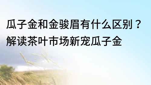 瓜子金和金骏眉有什么区别？解读茶叶市场新宠瓜子金