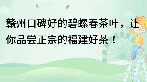 赣州口碑好的碧螺春茶叶，让你品尝正宗的福建好茶！