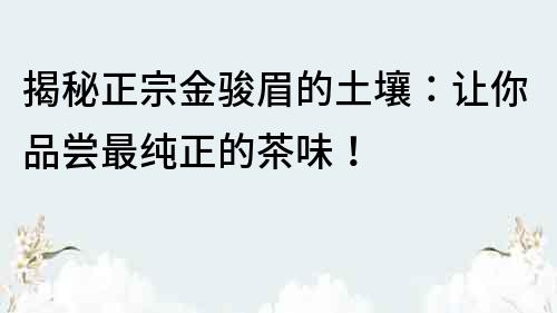 揭秘正宗金骏眉的土壤：让你品尝最纯正的茶味！