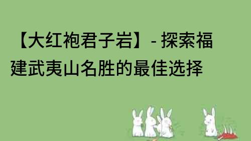 【大红袍君子岩】- 探索福建武夷山名胜的最佳选择