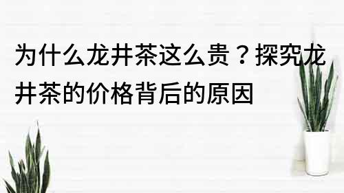 为什么龙井茶这么贵？探究龙井茶的价格背后的原因