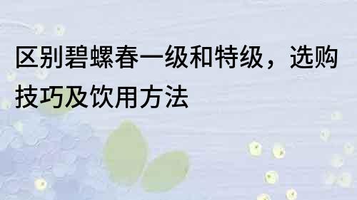 区别碧螺春一级和特级，选购技巧及饮用方法