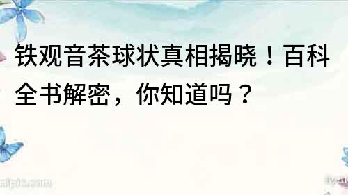 铁观音茶球状真相揭晓！百科全书解密，你知道吗？