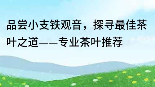 品尝小支铁观音，探寻最佳茶叶之道——专业茶叶推荐