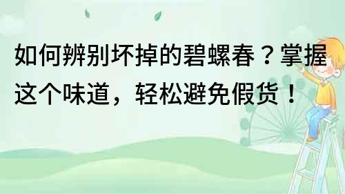 如何辨别坏掉的碧螺春？掌握这个味道，轻松避免假货！