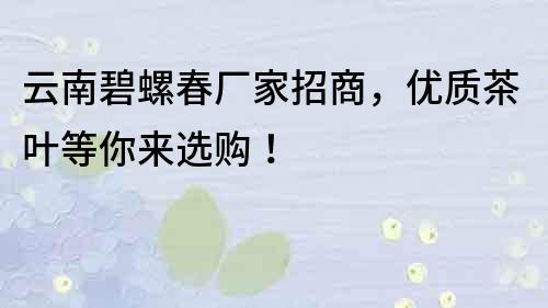 云南碧螺春厂家招商，优质茶叶等你来选购！