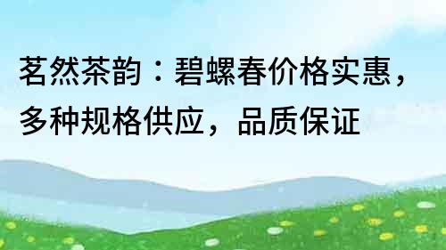 茗然茶韵：碧螺春价格实惠，多种规格供应，品质保证