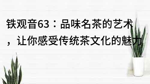 铁观音63：品味名茶的艺术，让你感受传统茶文化的魅力