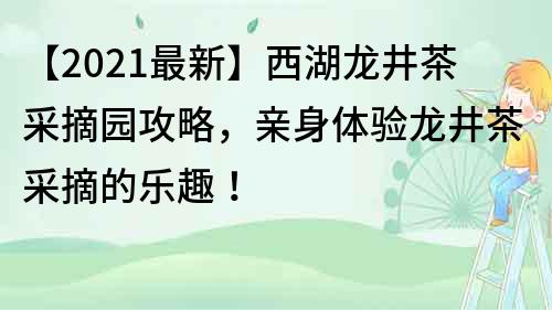 【2023最新】西湖龙井茶采摘园攻略，亲身体验龙井茶采摘的乐趣！