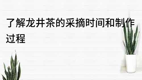 了解龙井茶的采摘时间和制作过程