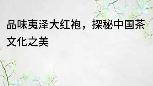 品味夷泽大红袍，探秘中国茶文化之美