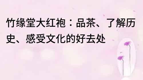 竹缘堂大红袍：品茶、了解历史、感受文化的好去处