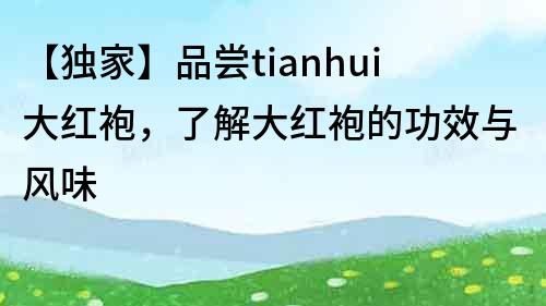 【独家】品尝tianhui大红袍，了解大红袍的功效与风味