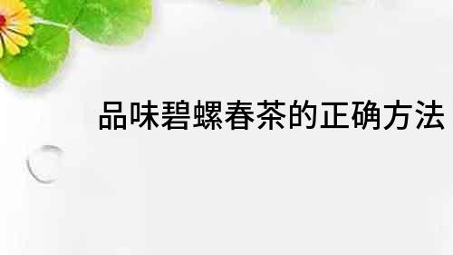 品味碧螺春茶的正确方法