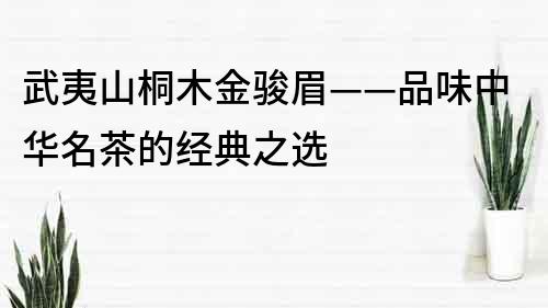 武夷山桐木金骏眉——品味中华名茶的经典之选