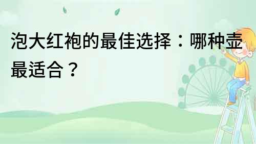 泡大红袍的最佳选择：哪种壶最适合？