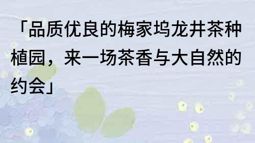 「品质优良的梅家坞龙井茶种植园，来一场茶香与大自然的约会」