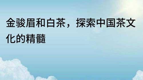 金骏眉和白茶，探索中国茶文化的精髓