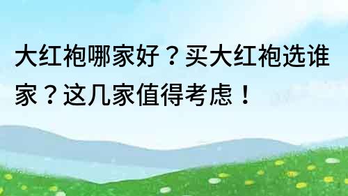 大红袍哪家好？买大红袍选谁家？这几家值得考虑！