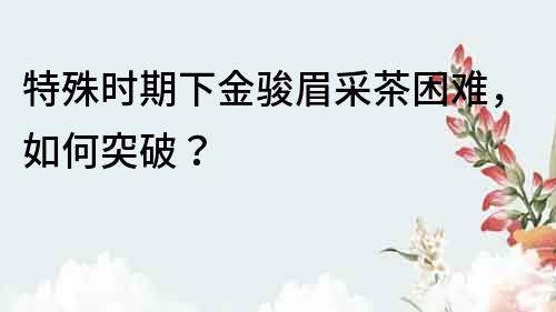 特殊时期下金骏眉采茶困难，如何突破？