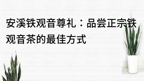 安溪铁观音尊礼：品尝正宗铁观音茶的最佳方式