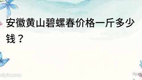 安徽黄山碧螺春价格一斤多少钱？