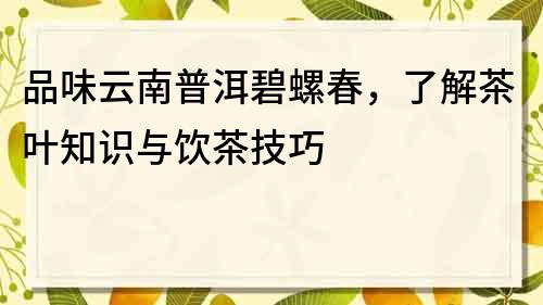 品味云南普洱碧螺春，了解茶叶知识与饮茶技巧