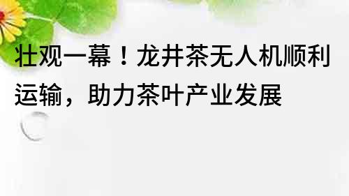 壮观一幕！龙井茶无人机顺利运输，助力茶叶产业发展