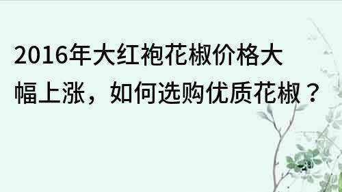 2016年大红袍花椒价格大幅上涨，如何选购优质花椒？