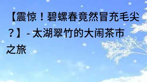 【震惊！碧螺春竟然冒充毛尖？】- 太湖翠竹的大闹茶市之旅