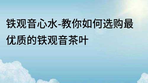 铁观音心水-教你如何选购最优质的铁观音茶叶