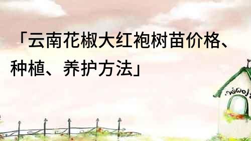 「云南花椒大红袍树苗价格、种植、养护方法」