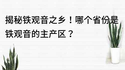 揭秘铁观音之乡！哪个省份是铁观音的主产区？