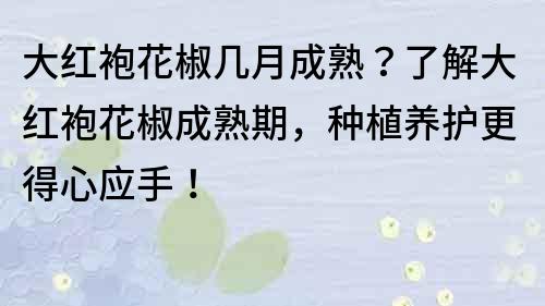 大红袍花椒几月成熟？了解大红袍花椒成熟期，种植养护更得心应手！