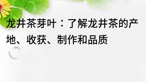 龙井茶芽叶：了解龙井茶的产地、收获、制作和品质