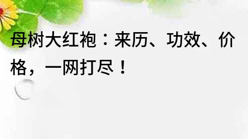 母树大红袍：来历、功效、价格，一网打尽！