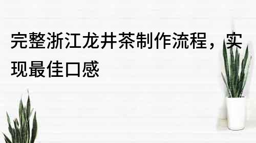 完整浙江龙井茶制作流程，实现最佳口感