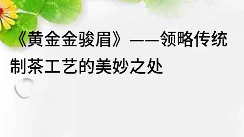 《黄金金骏眉》——领略传统制茶工艺的美妙之处