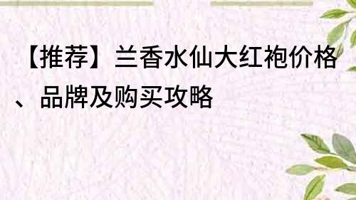 【推荐】兰香水仙大红袍价格、品牌及购买攻略