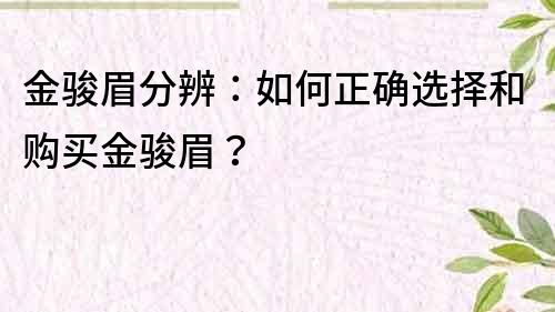 金骏眉分辨：如何正确选择和购买金骏眉？