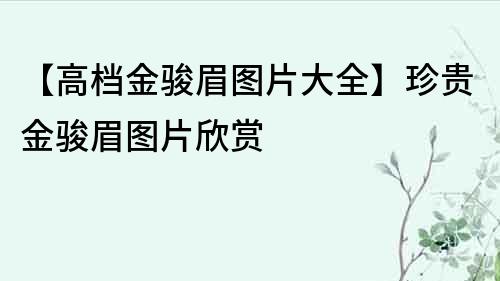 【高档金骏眉图片大全】珍贵金骏眉图片欣赏