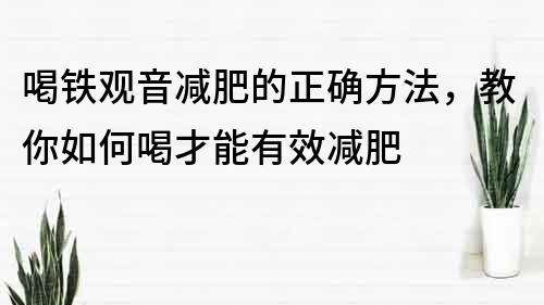 喝铁观音减肥的正确方法，教你如何喝才能有效减肥