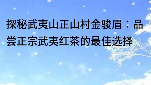 探秘武夷山正山村金骏眉：品尝正宗武夷红茶的最佳选择