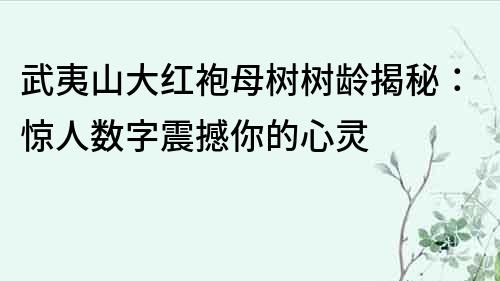 武夷山大红袍母树树龄揭秘：惊人数字震撼你的心灵